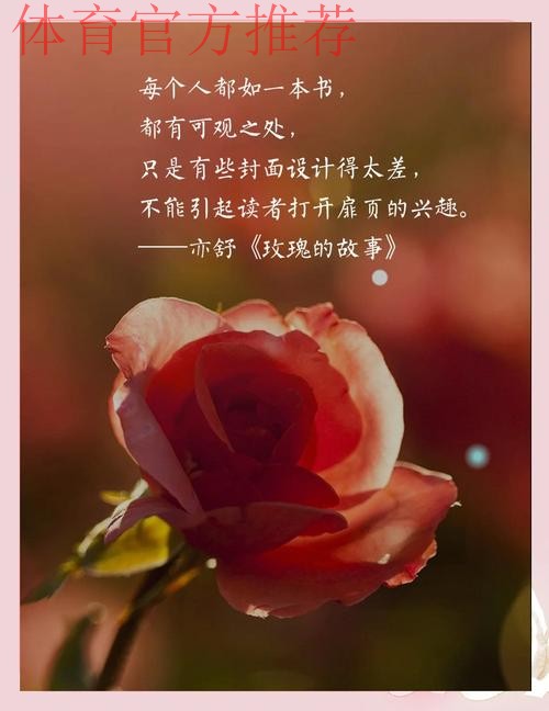 虽败犹荣 玫瑰重拾铿锵气质崛起指日可待！